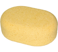 Mycí houby