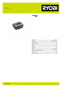 RYOBI RB12L20  5133005089 A4 PDF