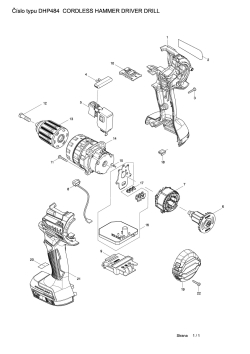 DHP484.pdf
