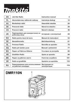 DMR110N.pdf