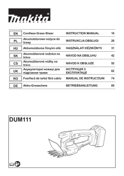 DUM111.pdf