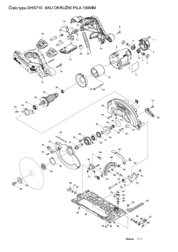 DHS710.pdf