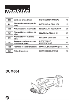 DUM604.pdf