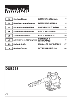 DUB363.pdf