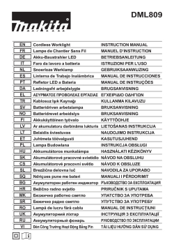 DML8099.pdf