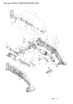 DJR183.pdf