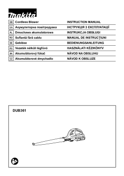 DUB361.pdf