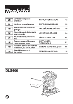 DLS600.pdf