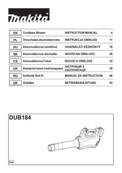 DUB184.pdf