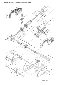 SG1251.pdf