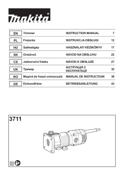 3711.pdf