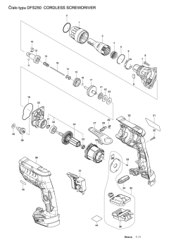 DFS250.pdf