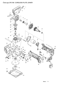 DPJ180.pdf