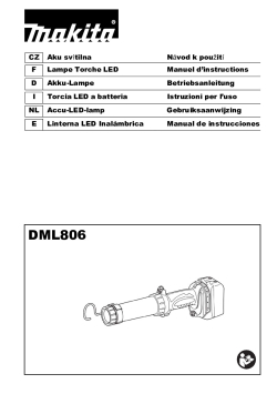 DML806.pdf