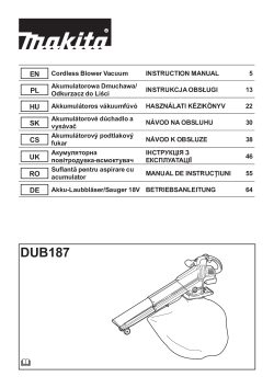 DUB187.pdf