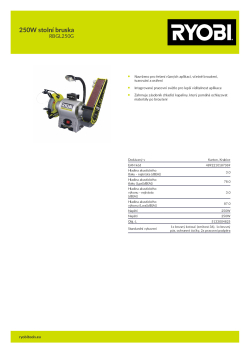 RYOBI RBGL250G 250W stolní bruska 5133004825 A4 PDF