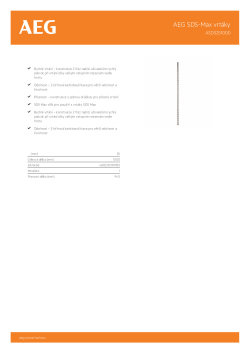 RYOBI ASDS AEG SDS-Max 2-břitový vrták, 25mm průměr x 1000mm délka – 1ks 4932479295 A4 PDF
