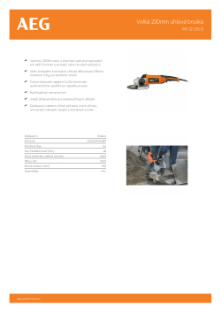 RYOBI WS 22-230 Velká 230mm úhlová bruska 4935431720 A4 PDF