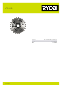 RYOBI RATSB210-24  5132006032 A4 PDF