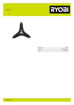 RYOBI RAC165  5132006152 A4 PDF