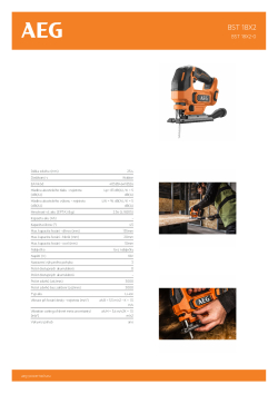 RYOBI BST 18X2  4935492485 A4 PDF