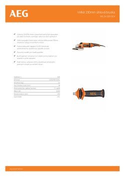 RYOBI WS 24-230 GEV Velká 230mm úhlová bruska 4935431765 A4 PDF