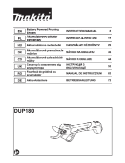 DUP180.pdf