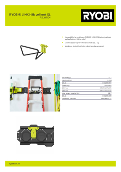 RYOBI   5132006203 A4 PDF