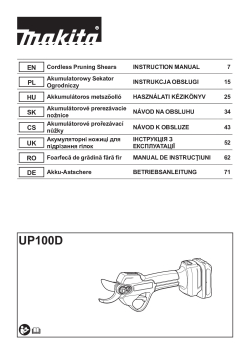 UP100D.pdf