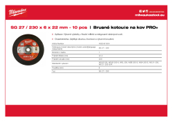 MILWAUKEE SG 27 / 230 4932451504 A4 PDF