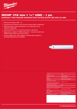MILWAUKEE WCHP 172 4932352052 A4 PDF