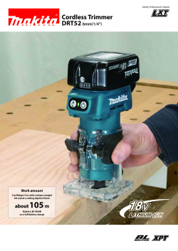 DRT52_view.pdf