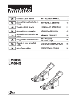 LM004GZ.pdf