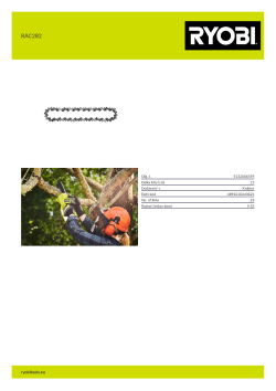 RYOBI RAC282  5132006559 A4 PDF