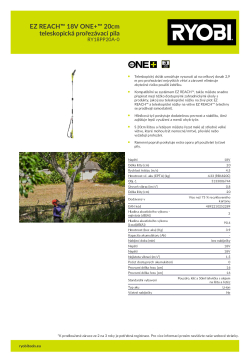 RYOBI RY18PP20A EZ REACH™ 18V ONE+™ 20cm teleskopická prořezávací pila 5133006744 A4 PDF