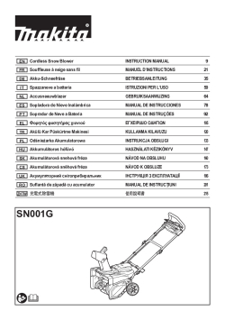 SN001G.pdf