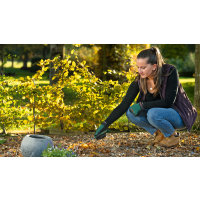 BOSCH Ruční nářadí Zahradní hrabičky 06008B5600