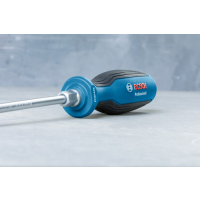 BOSCH Šroubovák PH 2 × 125 1600A01TG3