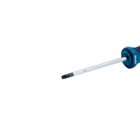 BOSCH Šroubovák TX 25 × 100 1600A01V0D