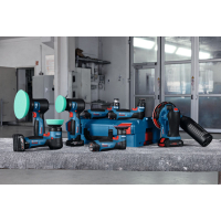 BOSCH Leštička GPX 12V-125 06019L4100