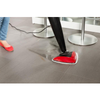 Vileda Steam mop