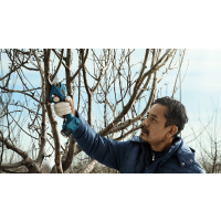 BOSCH Akumulátorové zahradní nůžky Pro Pruner 06019K1021