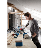 BOSCH Kapovací a pokosová pila GCM 254 0601B52000