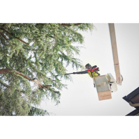 MILWAUKEE M18 FTPS30-121 teleskopická vyvětvovací pila 30 cm 4933480869