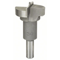 BOSCH Sukovník osazený tvrdokovem 2608596980