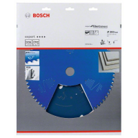BOSCH EX FC B 300x30-8 2608644352