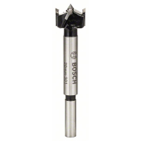 BOSCH Sukovník s tvrdokovem a předřezovými hroty 2608597604