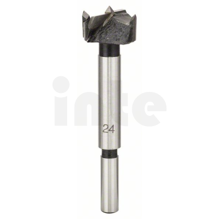 BOSCH Sukovník s tvrdokovem a předřezovými hroty 2608597606
