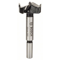 BOSCH Sukovník s tvrdokovem a předřezovými hroty 2608597613