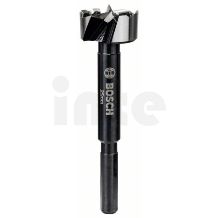 BOSCH Forstnerův vrták 25 mm 2608577009